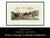 Napa Valley Cattle Company Cabernet Sauvignon. Blockbuster 94 Point Super Premium Selection